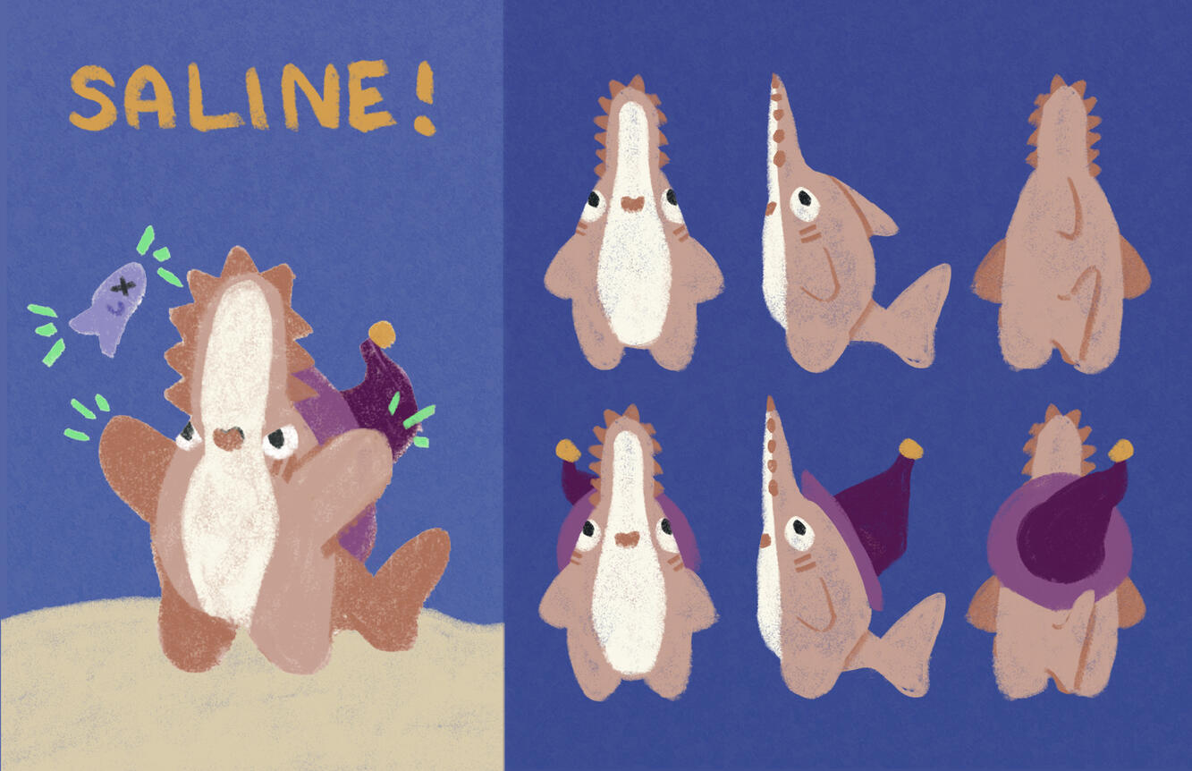 Saline Character Sheet