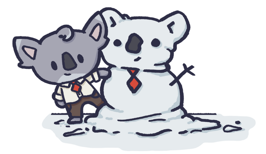 Snow-accountant